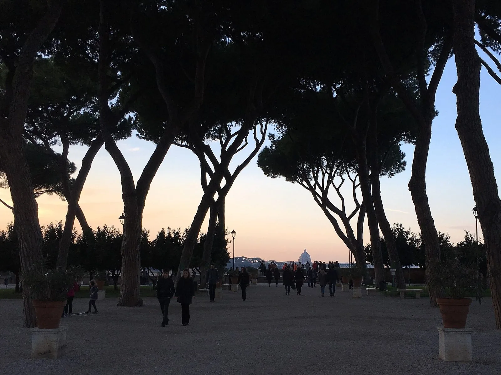 Viale di pini al Giardino degli Aranci sull'Aventino al tramonto, con la cupola di San Pietro sullo sfondo
