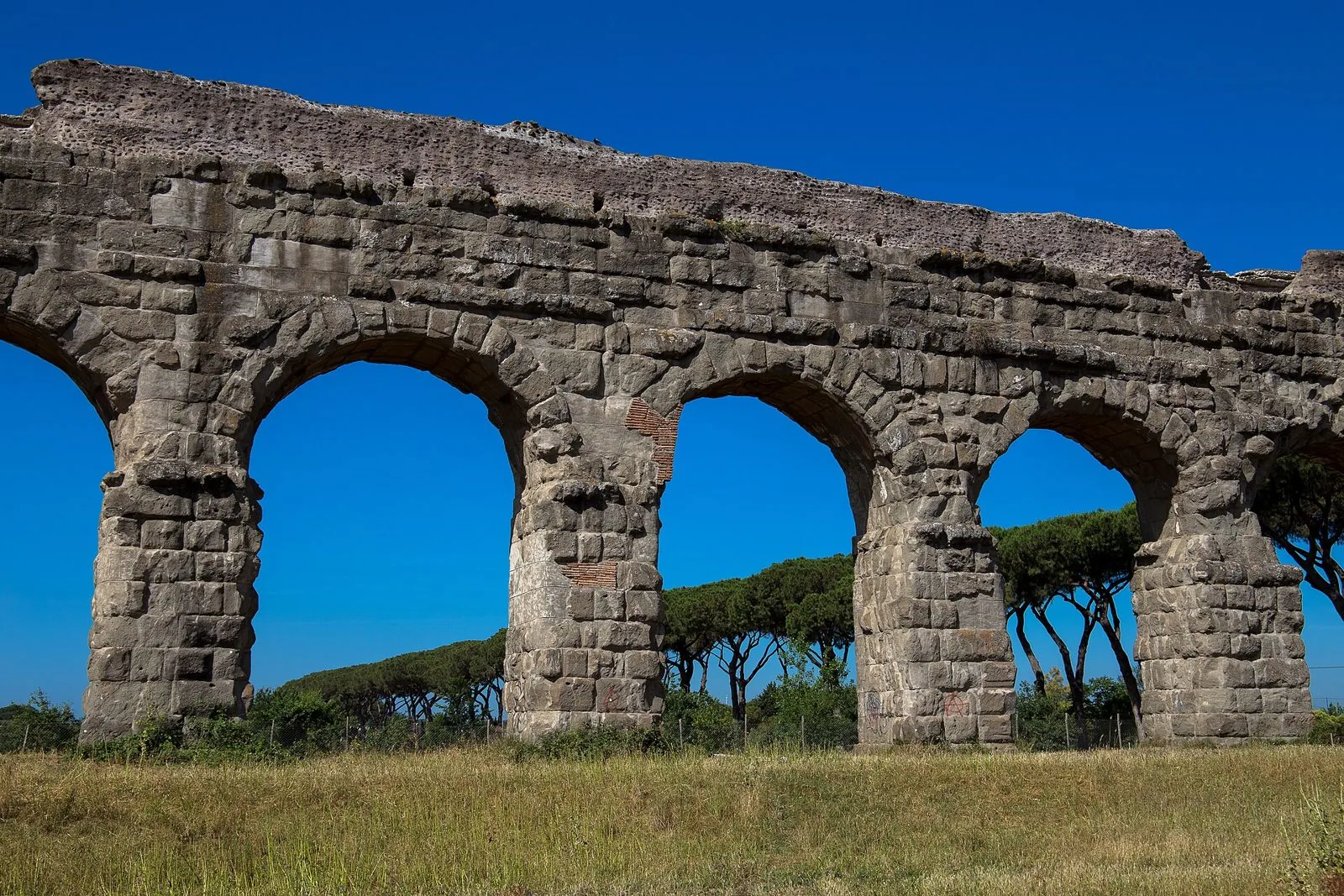 Gli archi in blocchi di pietra dell'Acquedotto Claudio nel Parco degli Acquedotti, con pini marittimi sullo sfondo e cielo blu intenso